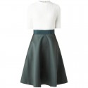 Ted Baker Betsiyy Full Skirt Mockable Fit & Flare Dress